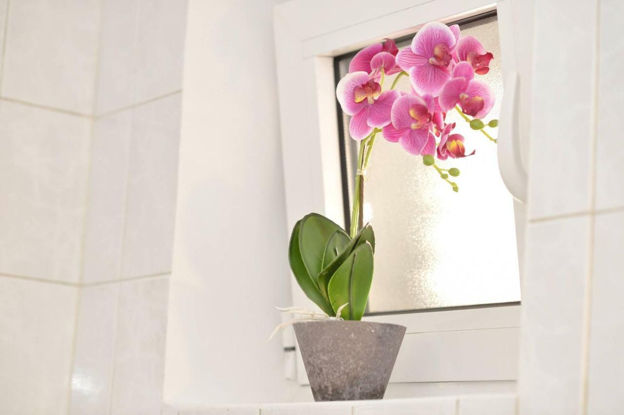 Sunshine Of Montenegro - Family Oasis Kotor Extérieur photo